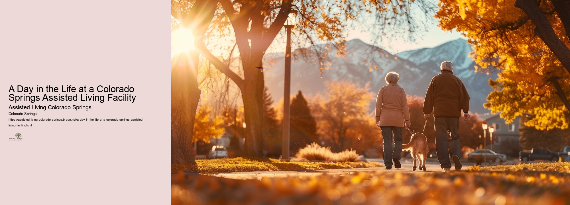 A Day in the Life at a Colorado Springs Assisted Living Facility